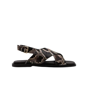 AMBITIOUS SANDALO PITONATO 14361 MARRONE