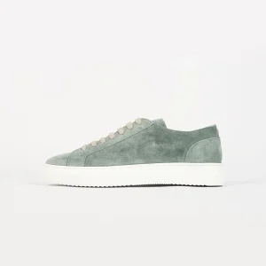 Sneaker 'Suede' - Salvia